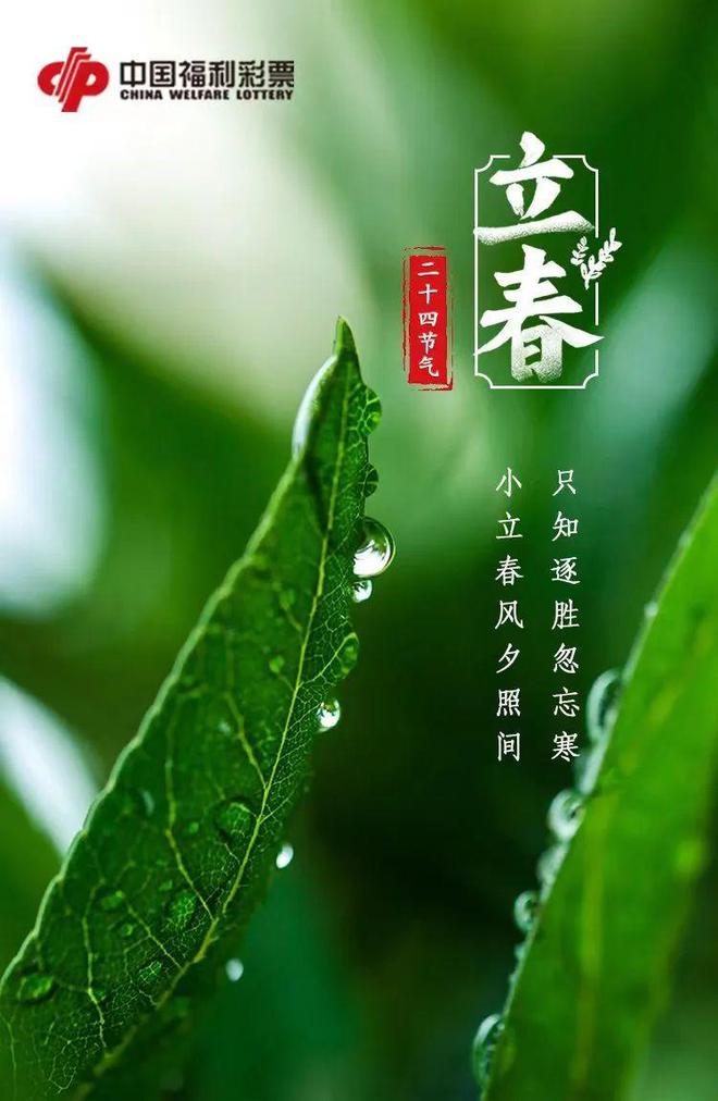 2024新年说说-告别 2023 迎接 2024：风风雨雨铸就坚强，憧憬未来无限希望