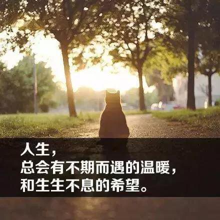 带名字的公司_有没有好的公司名字 带记_有什么公司名字别人没有取过的