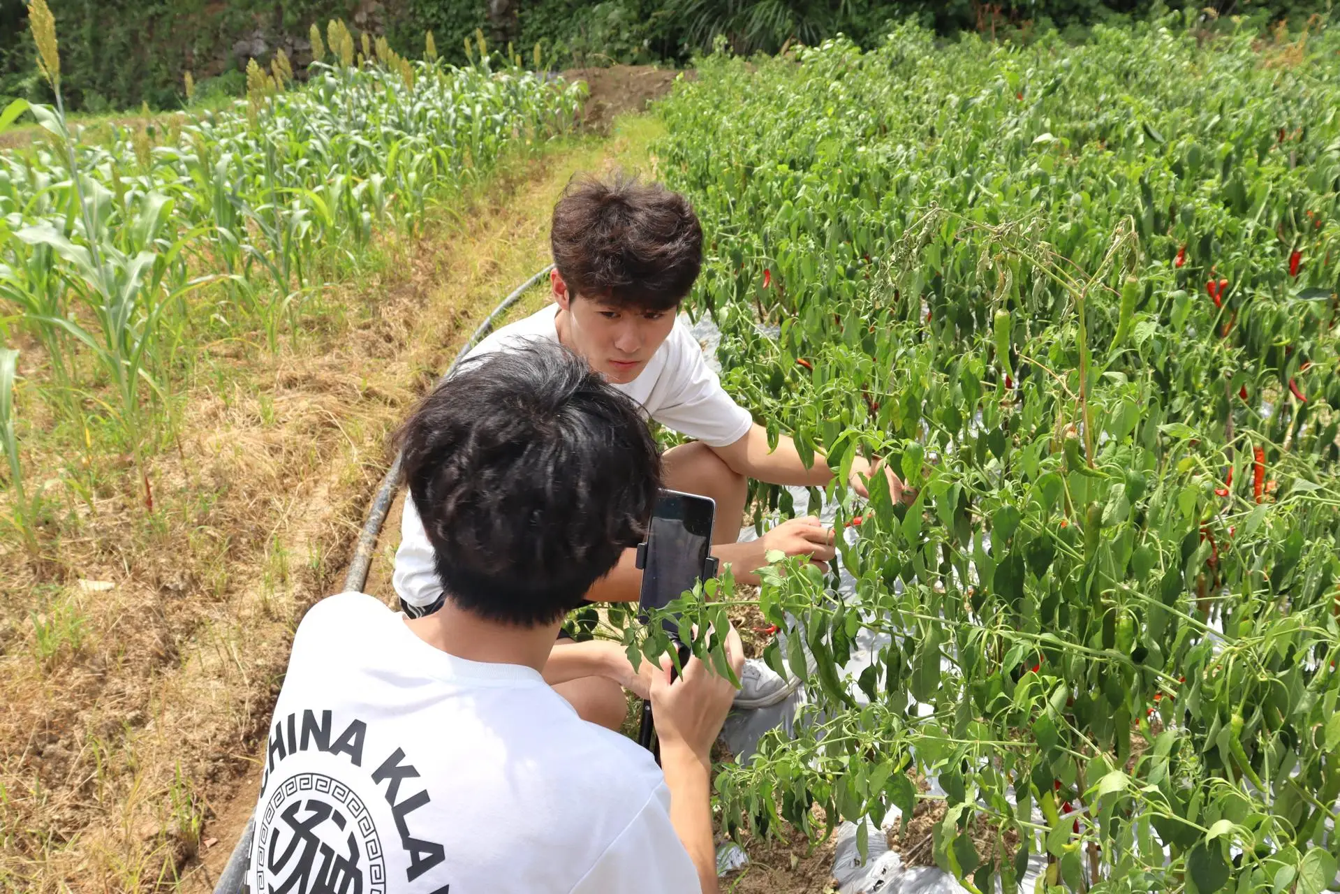 bl动漫抱春_抱春动漫百度云_抱春动漫在线观看全集
