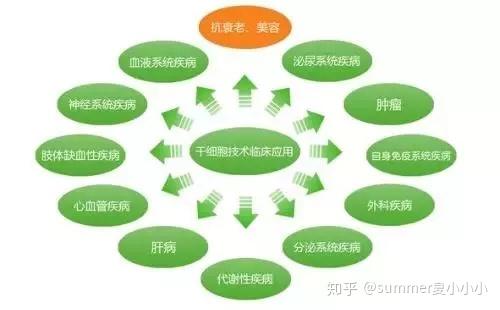 顺炮遇到对手吃中兵-下棋时中兵被吃，顺炮阵型受挫，心有不甘却又无可奈何