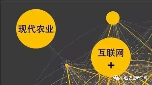 百姓网跟百度是一家吗-百姓网和百度不是一家？快来了解它们的区别