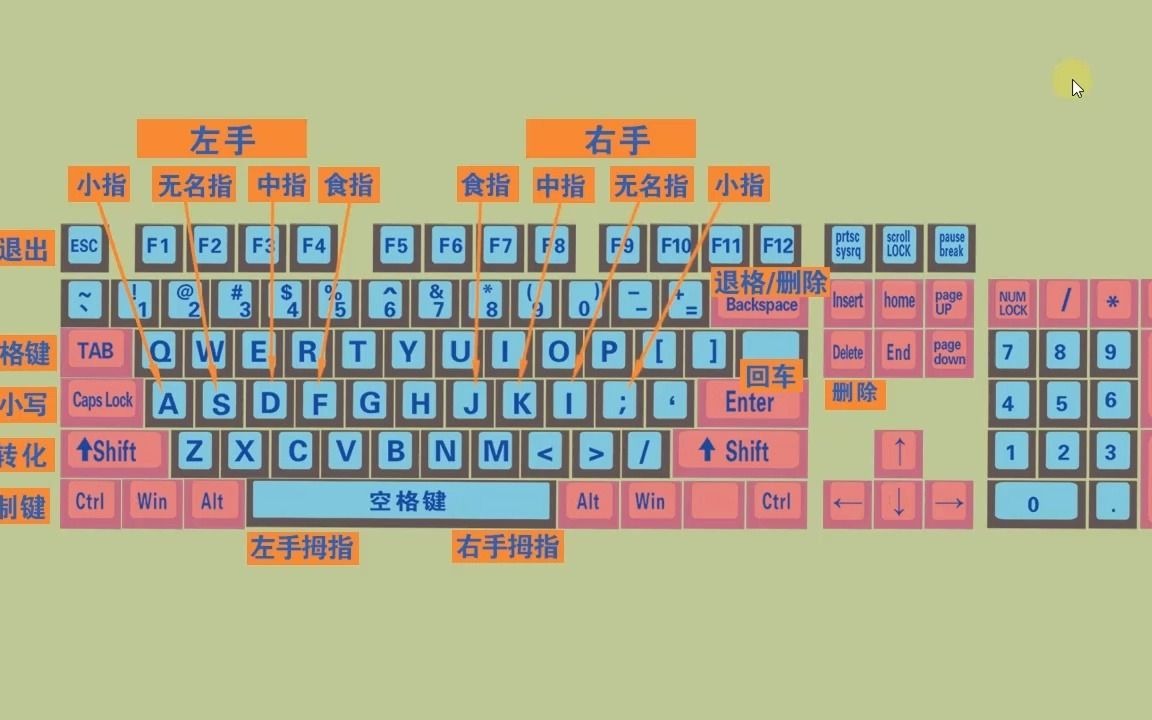 新手电脑打字入门软件_新手学电脑打字软件_新手学打字软件下载电脑版