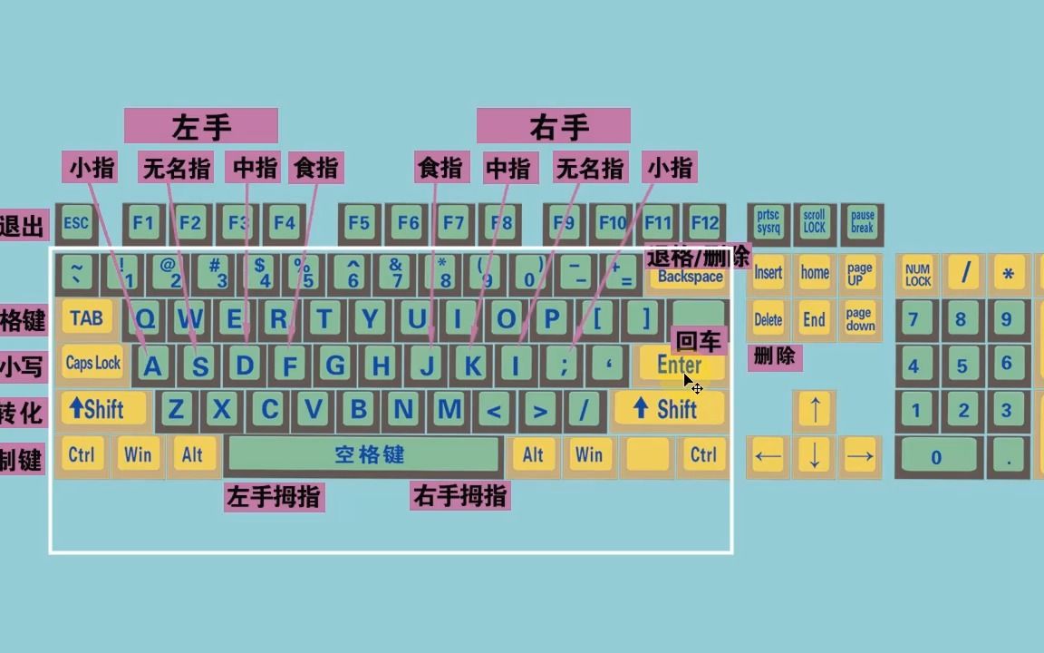 新手学电脑打字软件_新手学打字软件下载电脑版_新手电脑打字入门软件