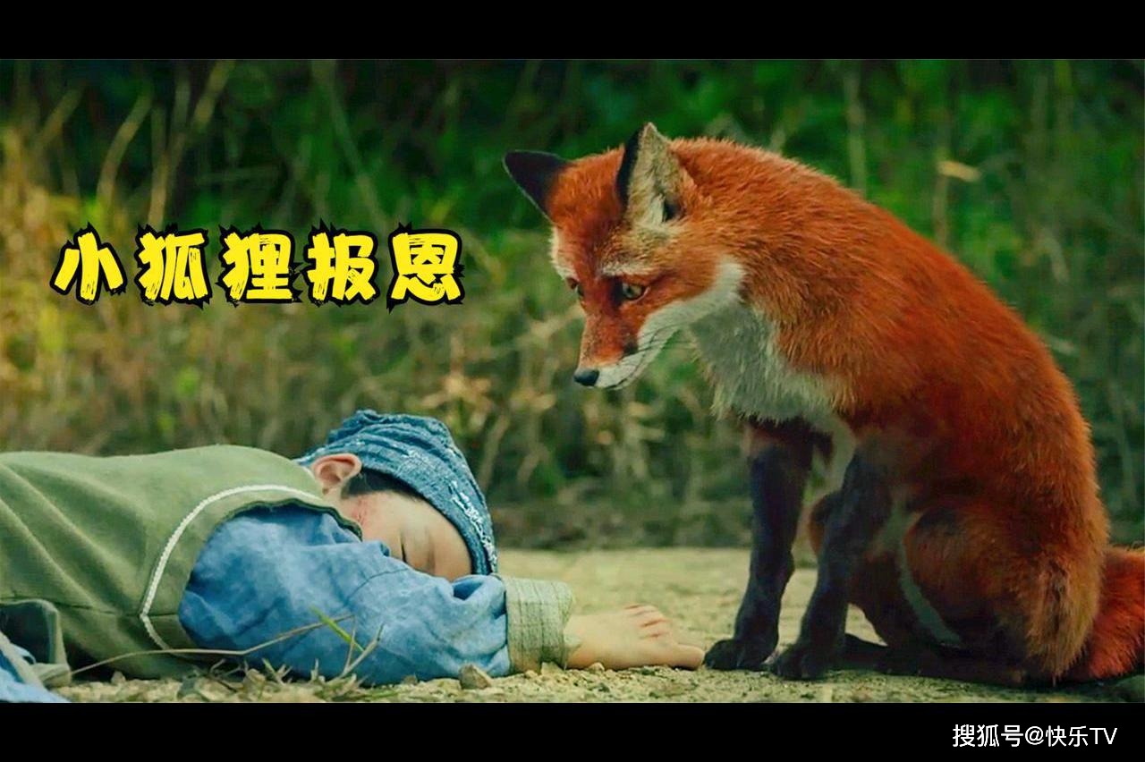倩女手游修为计算器_倩女修为计算器2018_倩女修炼计算器