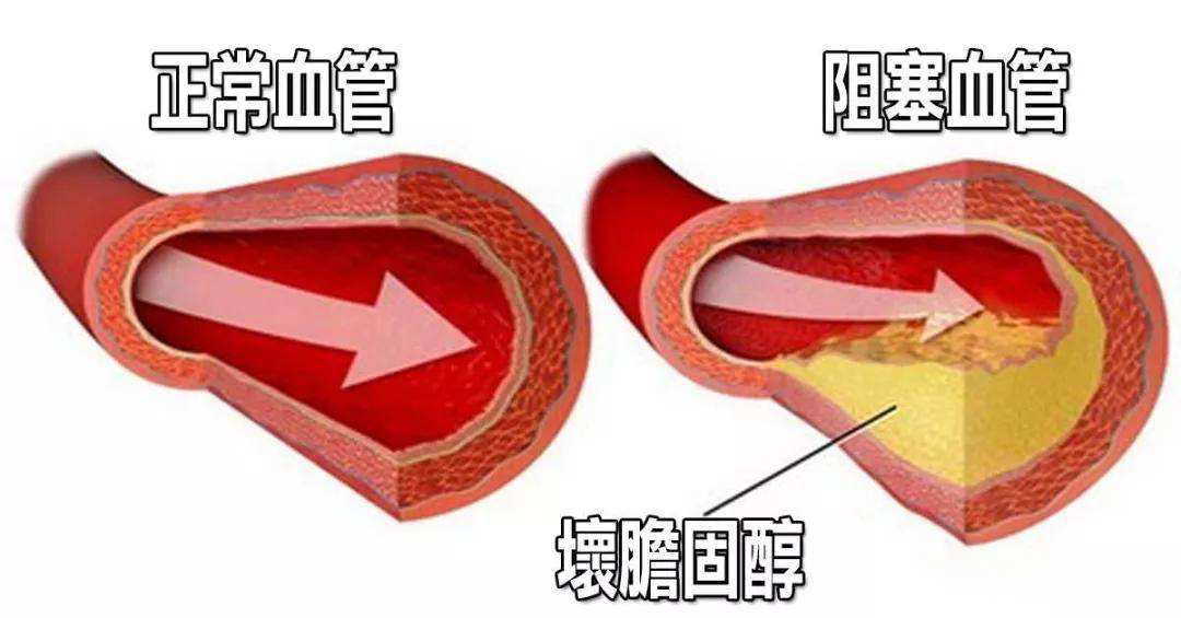 移动体检不过会通知吗_移动体检怎么这么严_中国移动体检过后被刷