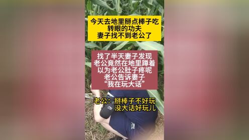 大话免费版快速练宝宝-大话免费版老玩家分享快速练宝宝秘籍：选对宝宝，多任务同时进行