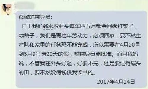 请假的好理由,如何巧妙应对工作与生活的平衡