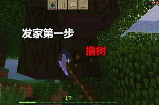 mc网游,探索魔兽世界怀旧服熔火之心副本——MC攻略全解析