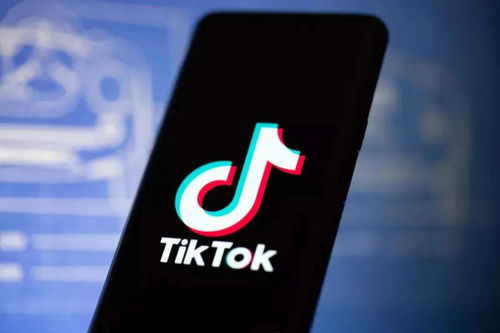 聚会游戏tiktok,互动娱乐，轻松嗨翻全场