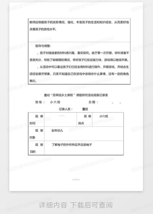 大班自主性游戏记录,大班幼儿自主性游戏记录——探索与成长的足迹