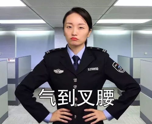 这就是警察