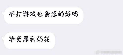 打游戏情话,游戏中的土味情话与欢乐时光