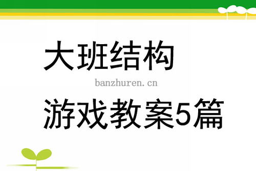 大班结构游戏计划,培养创造力与协作精神的实践探索