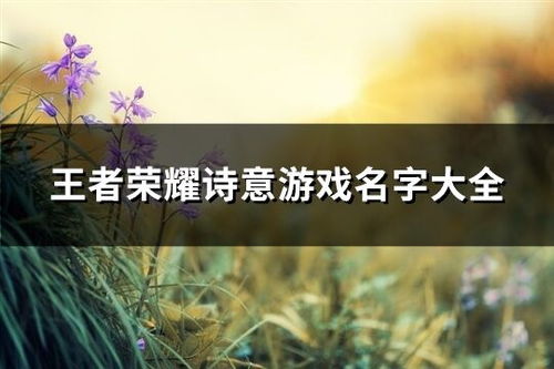 诗意游戏名字大全,游戏名字中的文化韵味与艺术魅力