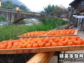 大型户外游戏策划方案,大型多人游戏活动策划方案解析