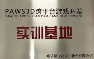 企业授权游戏,探索创新互动体验