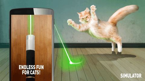 猫激光游戏,猫咪的趣味追逐之旅