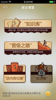 机场安全员模拟器 