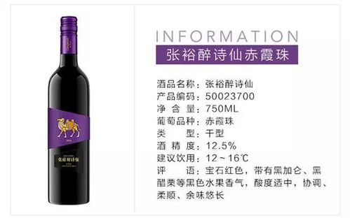 红酒美女游戏,品味生活新乐趣