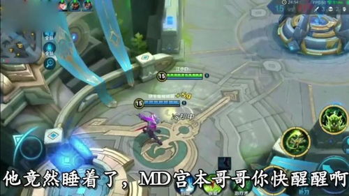 本子打游戏,探索本子游戏世界的奥秘