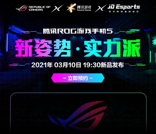盲指游戏,策略与运气的经典对决