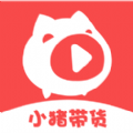 小猪带货 