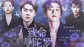 橙光游戏exo边伯贤,边伯贤的奇幻爱情冒险之旅