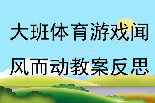 大班投掷游戏教案,培养协调能力与团队精神