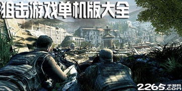 狙击大型游戏,探索顶级射击游戏的奥秘与激情