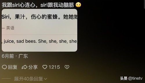 打游戏siri,探索苹果智能语音助手的多样化娱乐功能”
