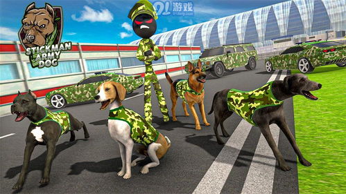 军犬游戏,忠诚与勇气的传奇故事