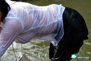美女湿身游戏,美女湿身游戏魅力解析