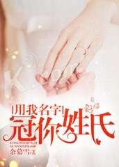 猜测姓氏游戏,探索姓名背后的文化奥秘