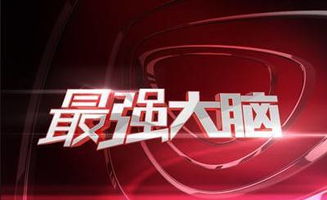 最强大脑辨色游戏,最强大脑辨色游戏的智力对决