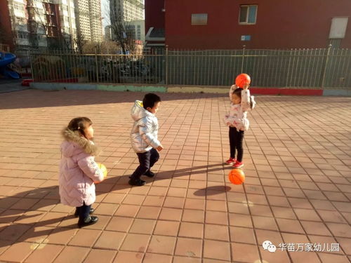 玩皮球游戏,幼儿体育游戏的乐趣与成长