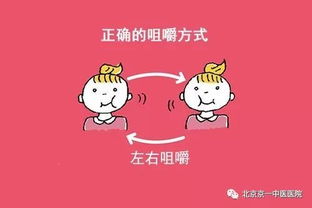 咀嚼人游戏,探索人体消化系统与互动学习之旅