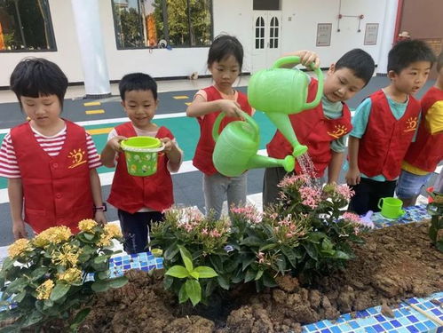 种花游戏亲子,共享春日种植时光”