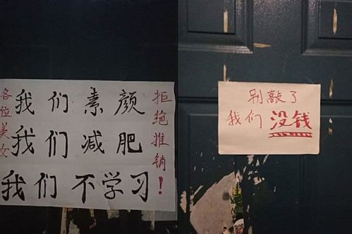 宿舍游戏牌,趣味游戏打造欢乐时光
