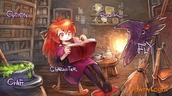 女巫来往游戏,魔法世界中的冒险与友谊
