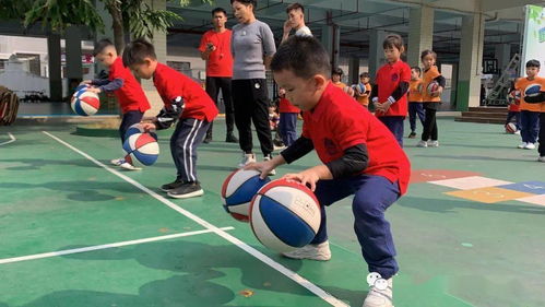 篮球游戏活动,幼儿快乐成长的游戏之旅”