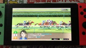 ns打游戏,畅享掌上游戏新体验