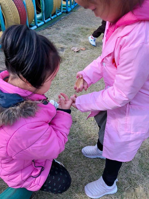秋叶游戏幼儿,幼儿探索自然与成长的奇妙之旅