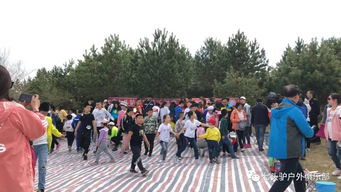 野餐户外游戏,趣味户外游戏全攻略