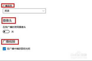 广播游戏配置,打造专业级游戏直播体验指南
