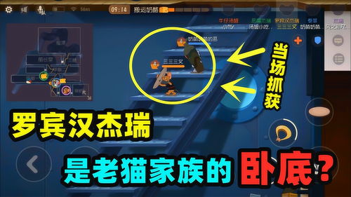 安卓游戏解说手游,体验精彩解说之旅