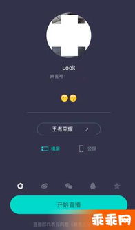 如何直播安卓手机游戏,全方位攻略解析